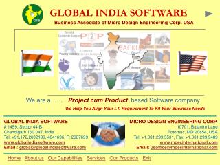 GLOBAL INDIA SOFTWARE