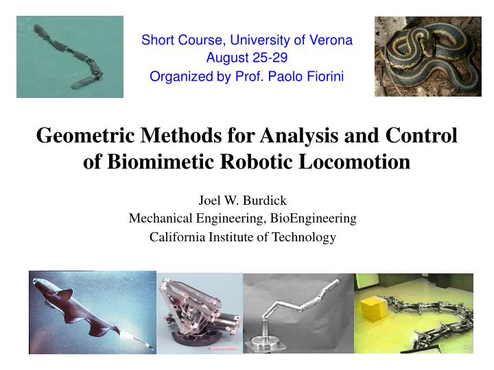 geometric methods for analysis and control of biomimetic robotic locomotion