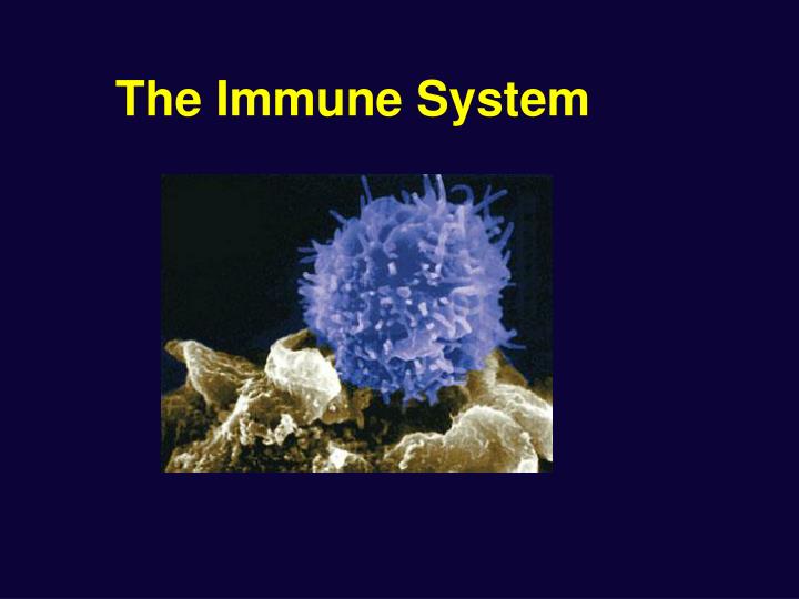 the immune system