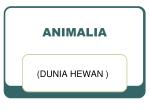 ANIMALIA - slide 1