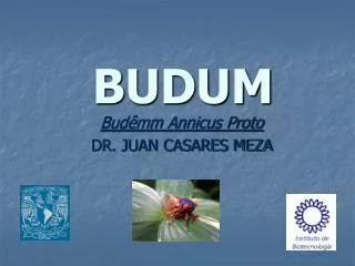 budum