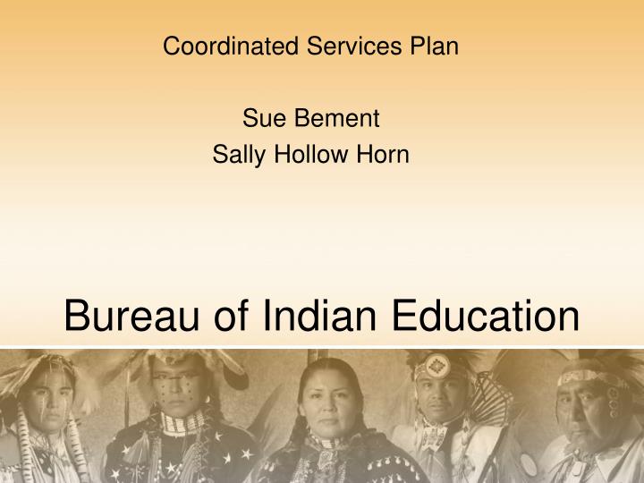 coordinated services plan sue bement sally hollow horn