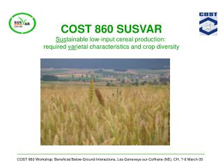 COST 860 SUSVAR Sus tainable low-input cereal production: required var ietal characteristics and crop diversity
