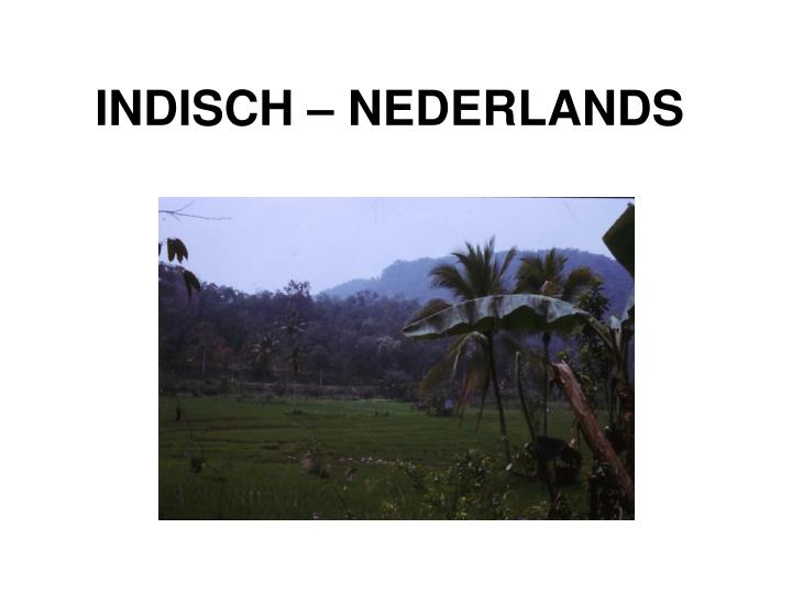 indisch nederlands