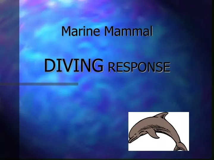 marine mammal diving response