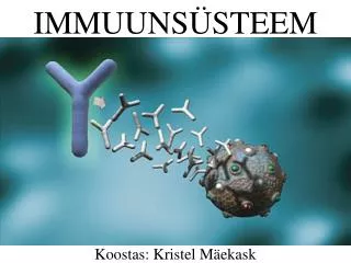 immuuns steem