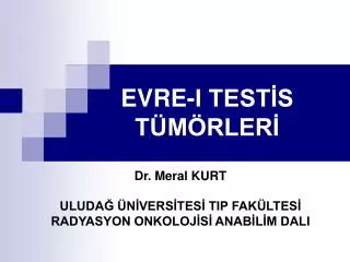 evre i test s t m rler