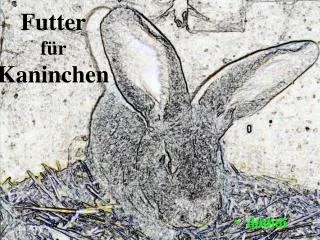 futtermittel f r kaninchen