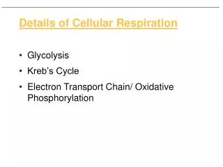 Details of Cellular Respiration