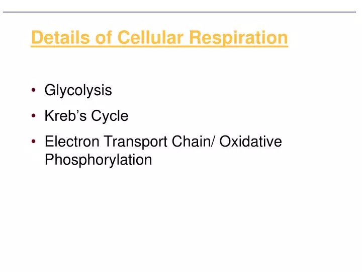 details of cellular respiration
