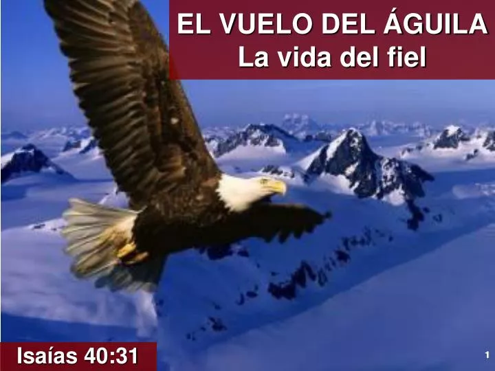 el vuelo del guila la vida del fiel