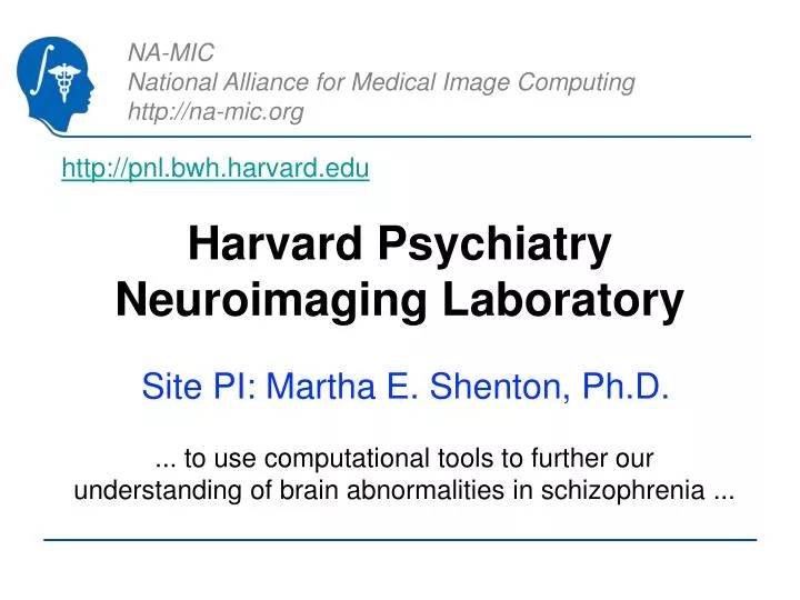 harvard psychiatry neuroimaging laboratory