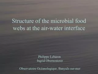 Structure of the microbial food webs at the air-water interface