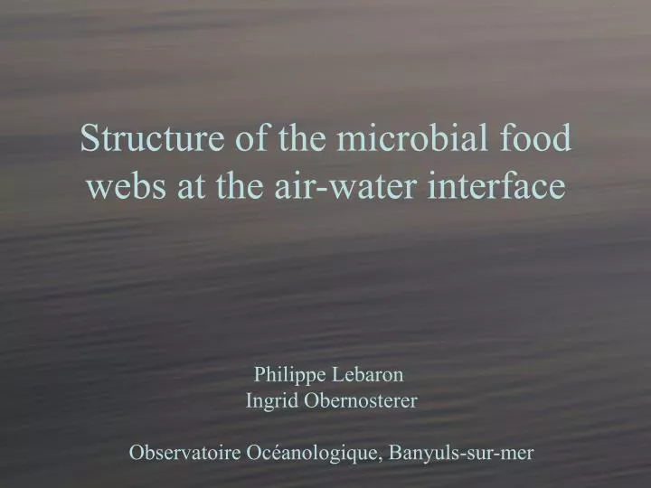 structure of the microbial food webs at the air water interface