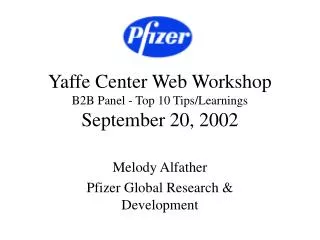 Yaffe Center Web Workshop B2B Panel - Top 10 Tips/Learnings September 20, 2002