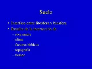 suelo