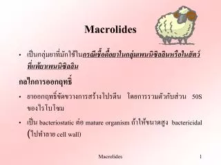 macrolides