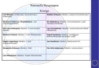 Nationella Styrgruppen Sverige