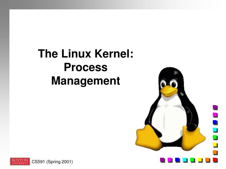 the linux kernel process management