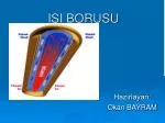 ISI BORUSU - slide 1