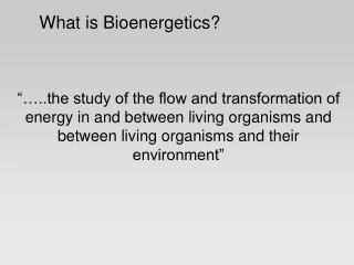 What is Bioenergetics?