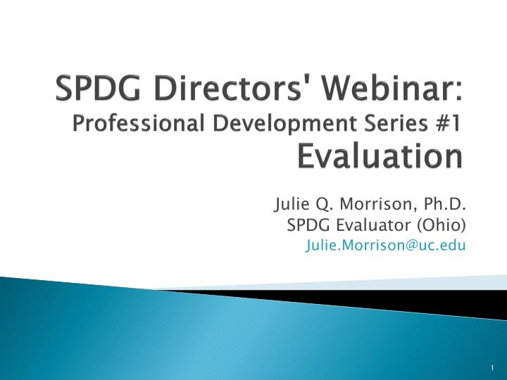 spdg directors webinar professional development series 1 evaluation