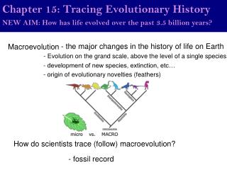 Chapter 15: Tracing Evolutionary History