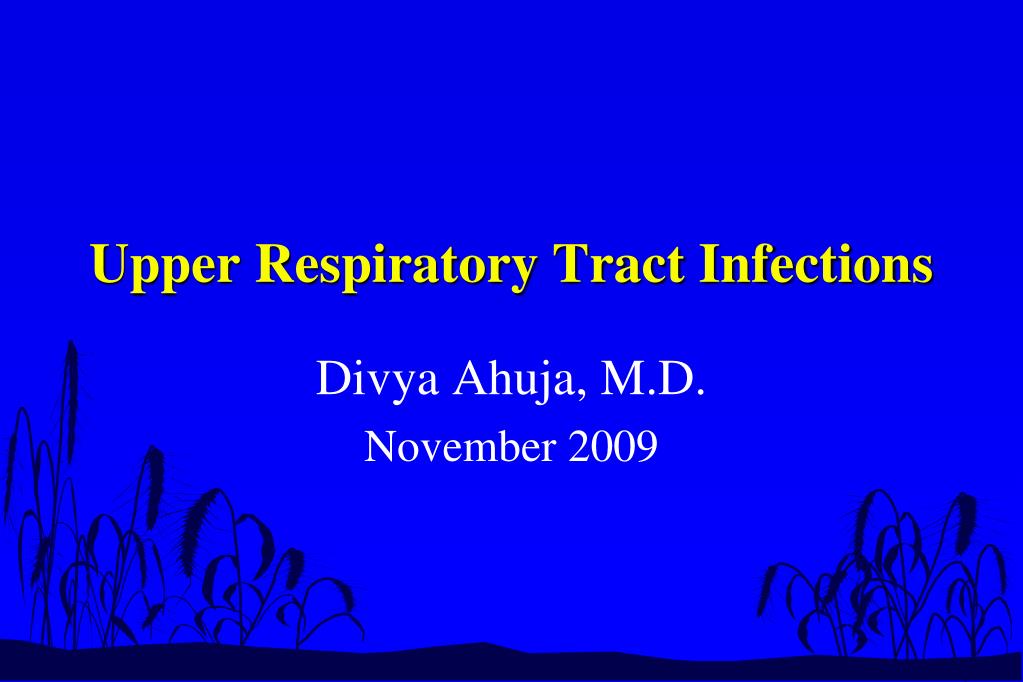 PPT - Upper Respiratory Tract Infections PowerPoint Presentation, free ...