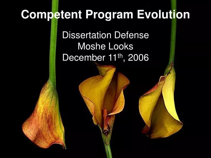 competent program evolution