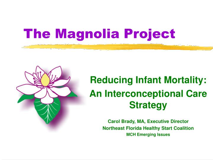 the magnolia project