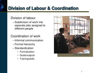 Division of Labour &amp; Coordination