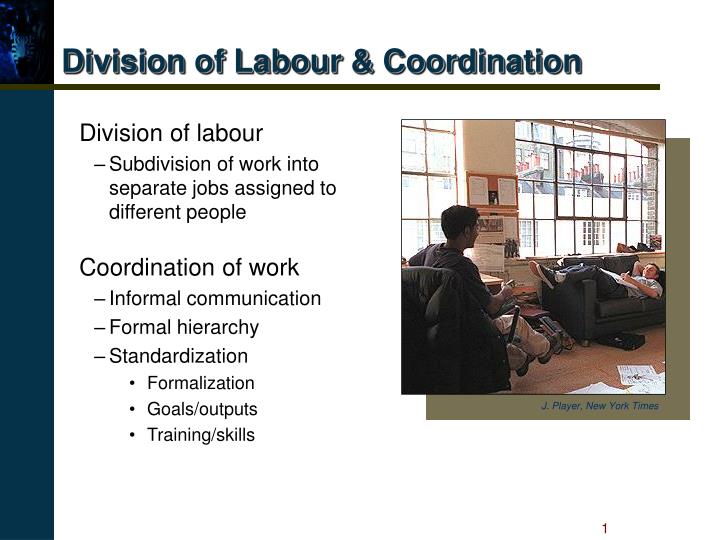 division of labour coordination