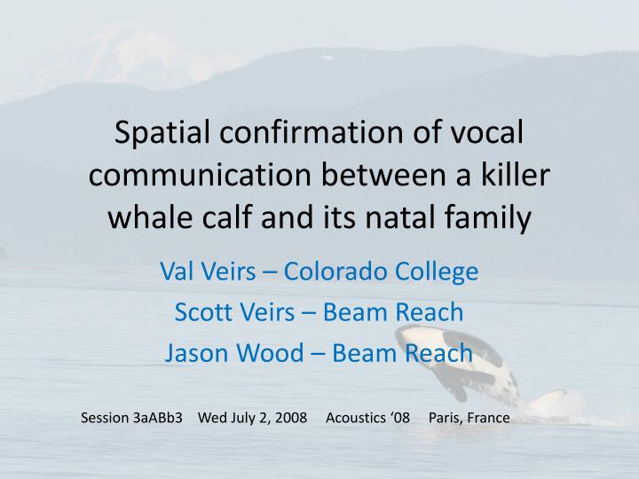 spatial confirmation of vocal communication between a killer whale calf and its natal family