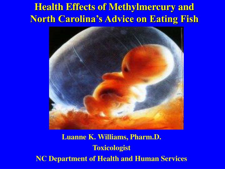 health effects of methylmercury and north carolina s advice on eating fish