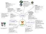 Exciting Outdoor Adventures: Hiking, Climbing, Kayaking, and More! - slide 1