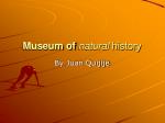 Museum of natural history