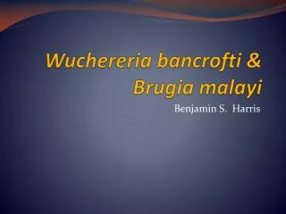 Wuchereria bancrofti &amp; Brugia malayi