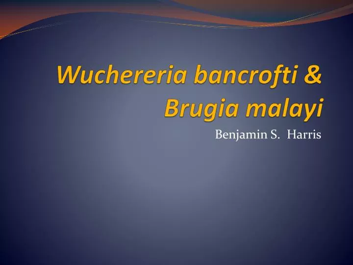 wuchereria bancrofti brugia malayi