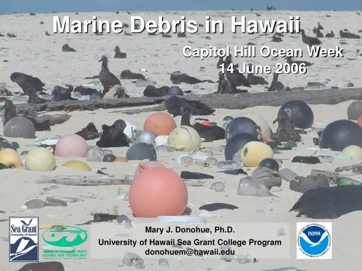 marine debris in hawaii