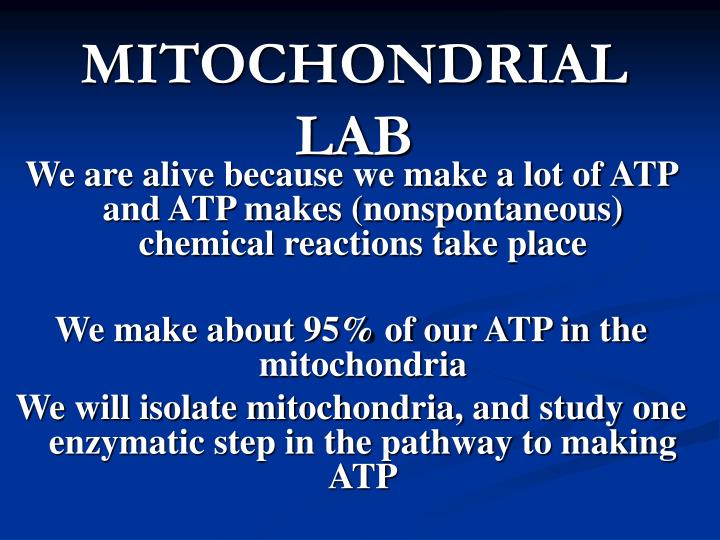 mitochondrial lab