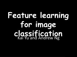 Feature learning for image classification