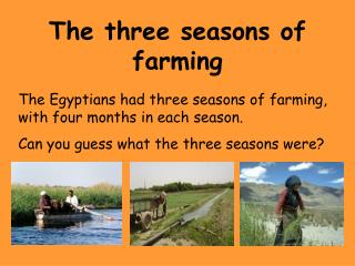 The three seasons of farming