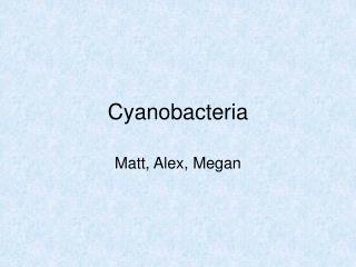 Cyanobacteria