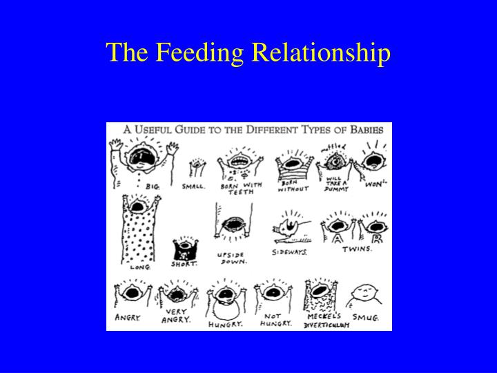 the feeding relationship