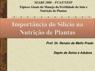 Prof. Dr. Renato de Mello Prado