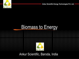 Biomass to Energy