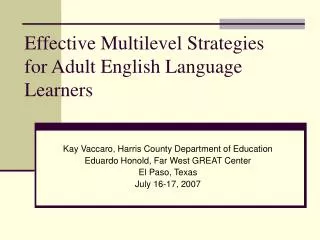 Effective Multilevel Strategies for Adult English Language Learners