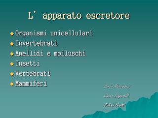l apparato escretore