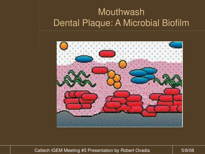 mouthwash dental plaque a microbial biofilm