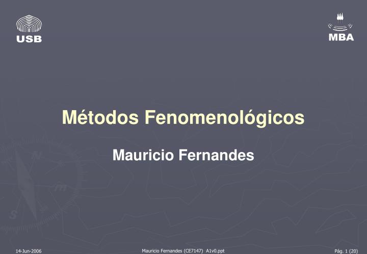 m todos fenomenol gicos